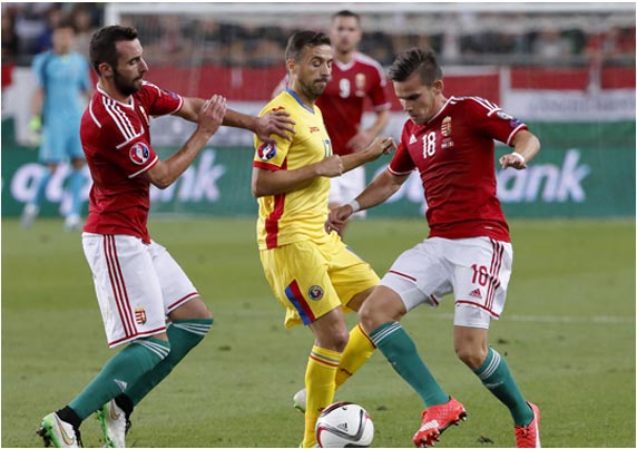 账号激活码的短信在线云呼轰炸